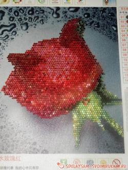 Алмазная вышивка