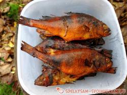 Окунь горячего копчения